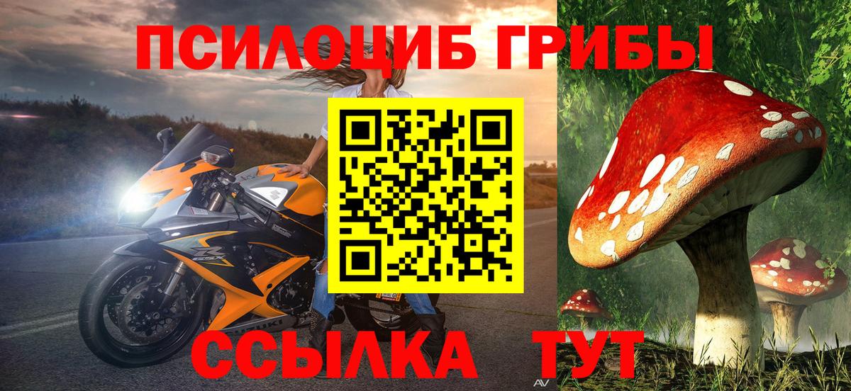 Псилоцибиновые грибы мицелий  Псилоцибиновые грибы MAGIC MUSHROOMS  Артёмовский  Вход с VPN 